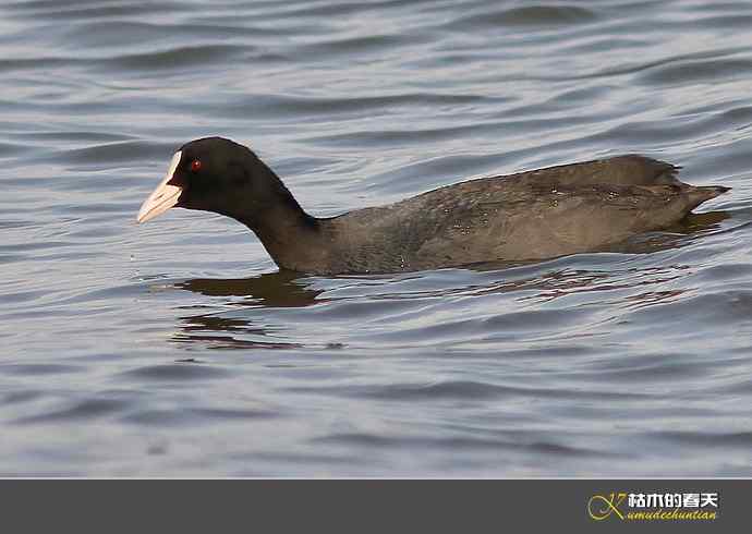 鈥湽嵌ゼ︹澨だ