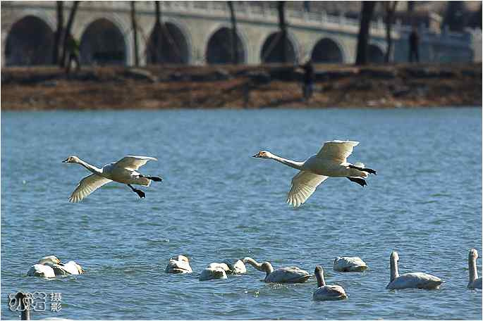  点击图片或使用键盘← →翻页