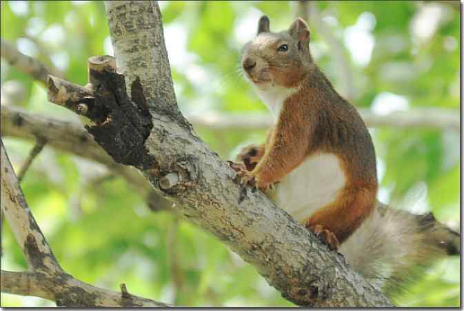  点击图片或使用键盘← →翻页