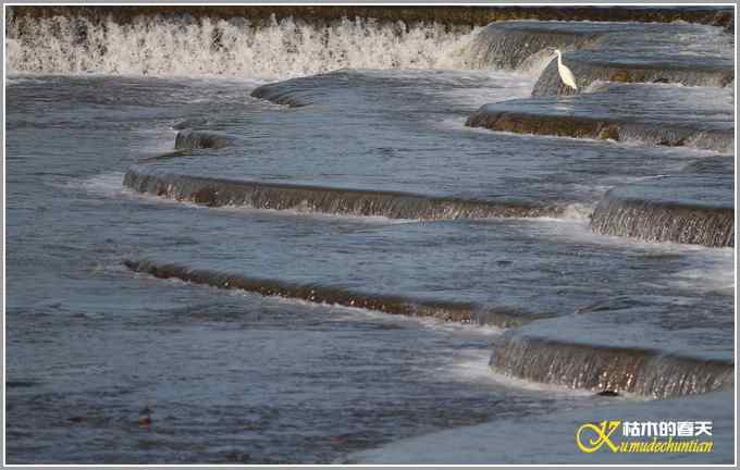 记录鈥満中佧l鈥潯菊掌