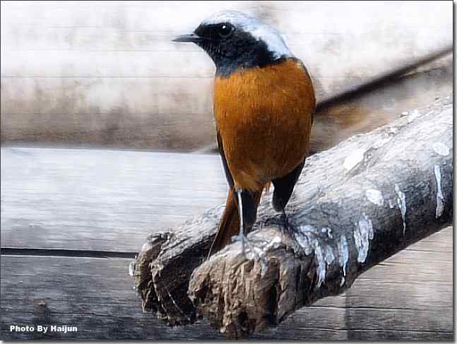  点击图片或使用键盘← →翻页