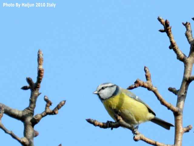 【亚平宁半岛之旅 wbr. wbr启程恢鸟】
