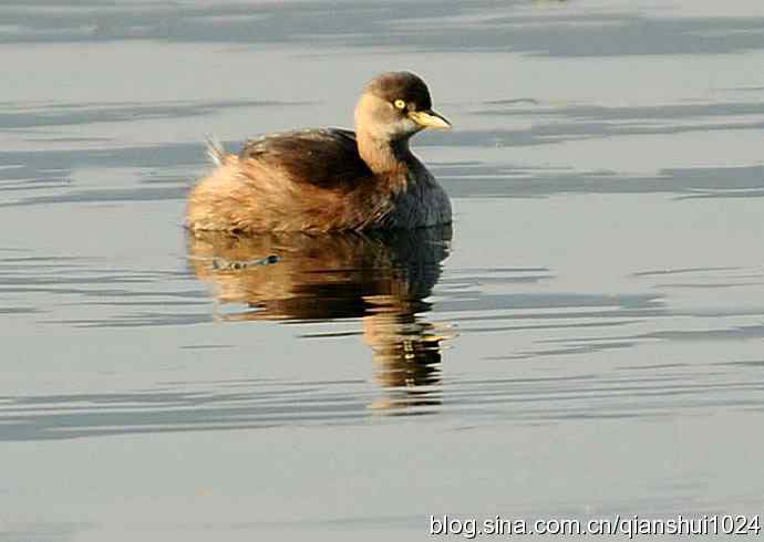 昆明湖上小
