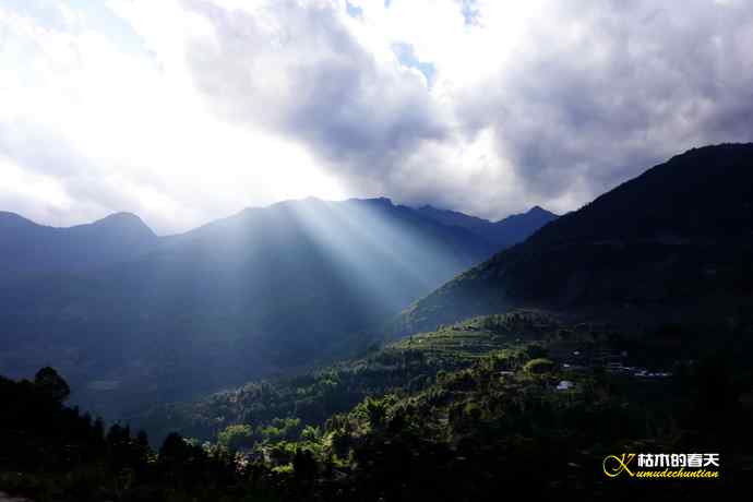 棕颈凤鹛&bull;橙胸【姬】鹟&bull;黑翅雀鹎