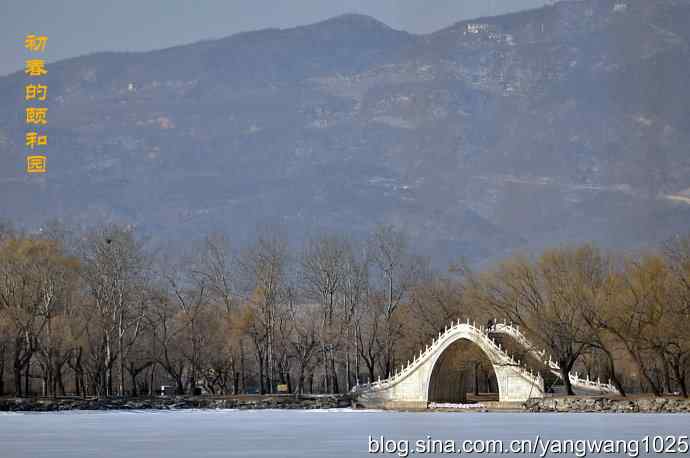 习作(喜鹊) 习作(喜鹊)