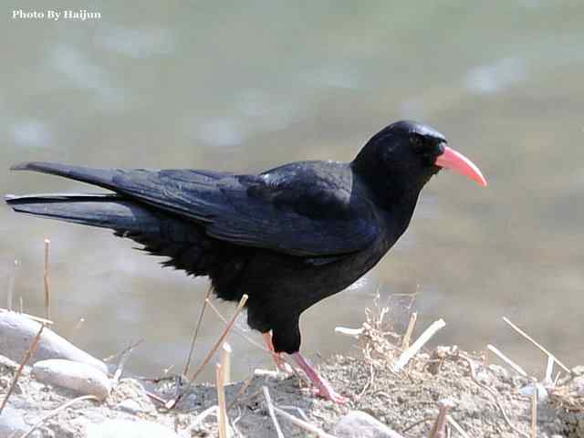 游走山水 猎摄河湾