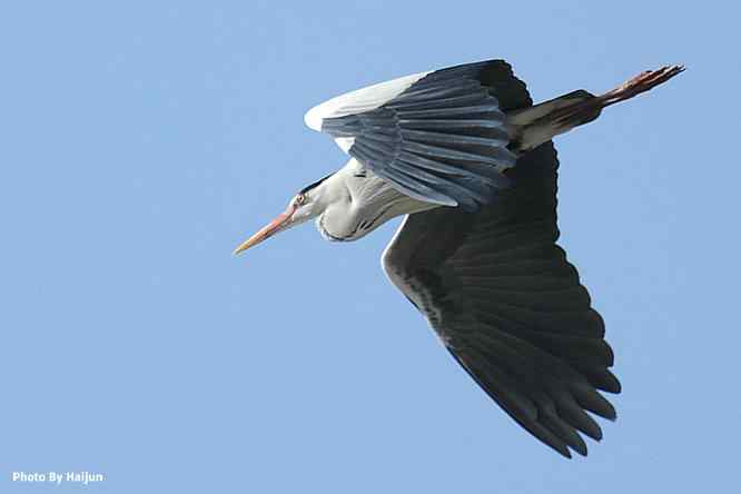 游走山水 猎摄河湾