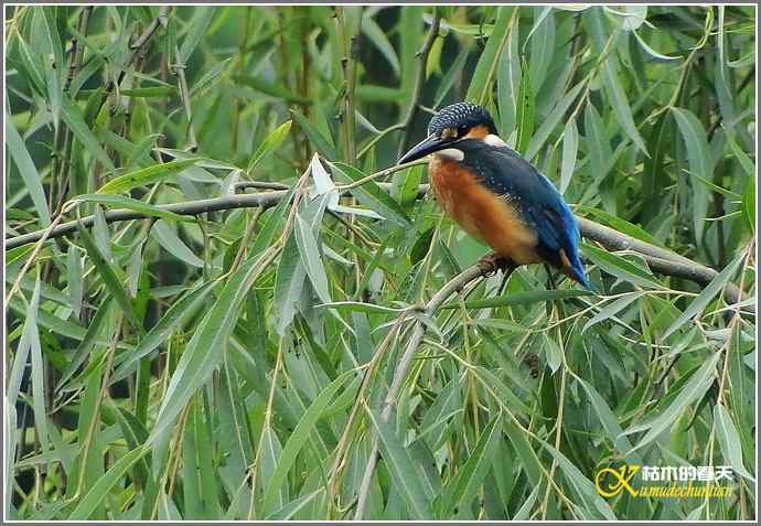 鈥溞〈溻澒槔础菊掌