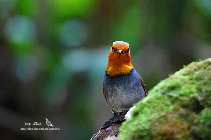 生日的收获鈥斺斎毡靖桊