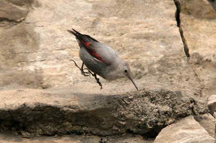 杭州老郑摄影续