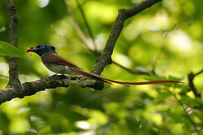 杭州老郑摄影续