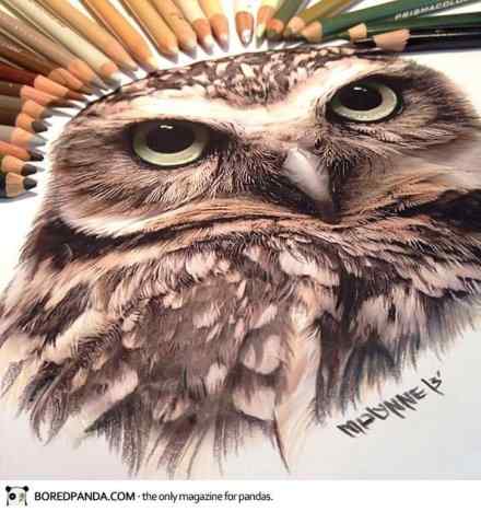 水溶彩铅动物绘画