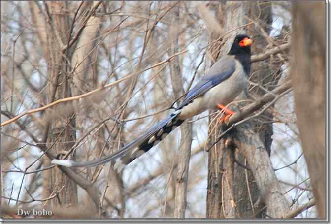 点击图片或使用键盘← →翻页
