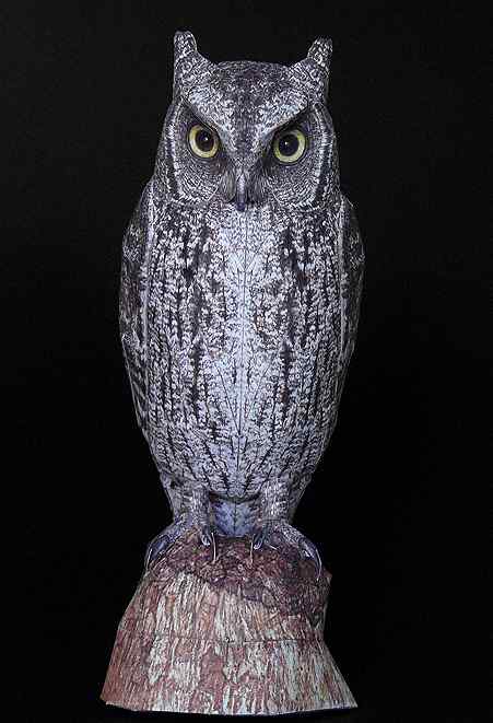 荷兰艺术家叹为止观的3D折纸小鸟