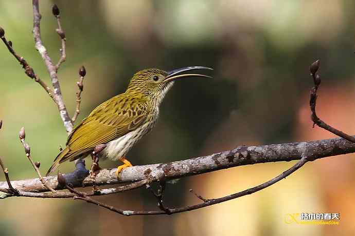 记录鈥溛票巢吨肽疋 记录鈥溛票巢吨肽疋