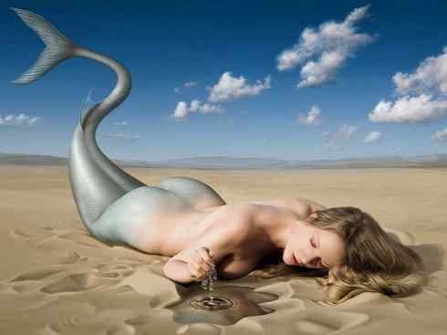 美人鱼：传说的兽