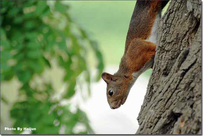 点击图片或使用键盘← →翻页