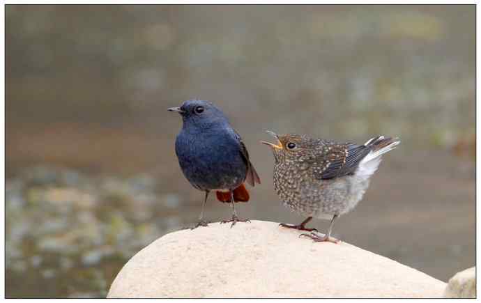 【I 'd never find a love like this】（父爱如山）