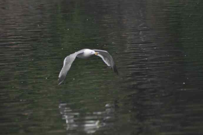 20100505当日总结