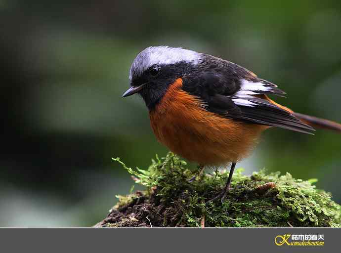 近拍鈥湵焙煳拆垛潯臼蹬摹