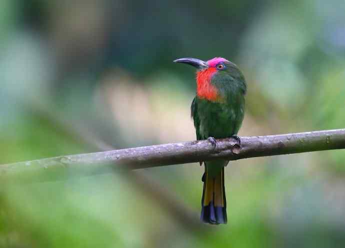 这二货是喝醉了 wbr还是关二爷穿越 这二货是喝醉了 wbr还是关二爷穿越