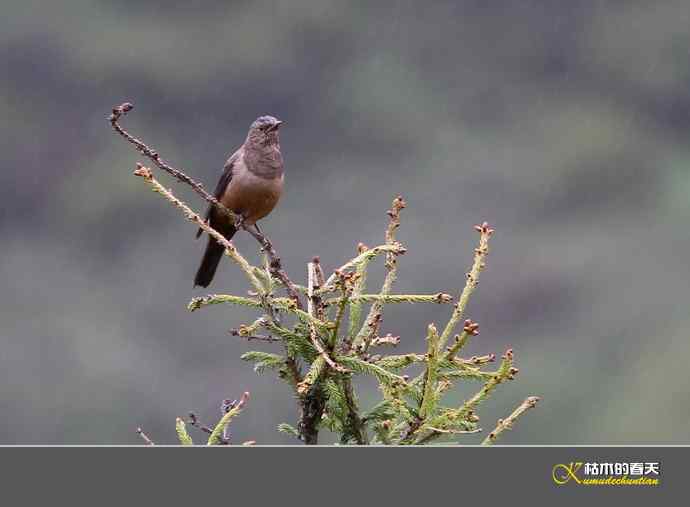 记录鈥溩乇澈谕佛粹