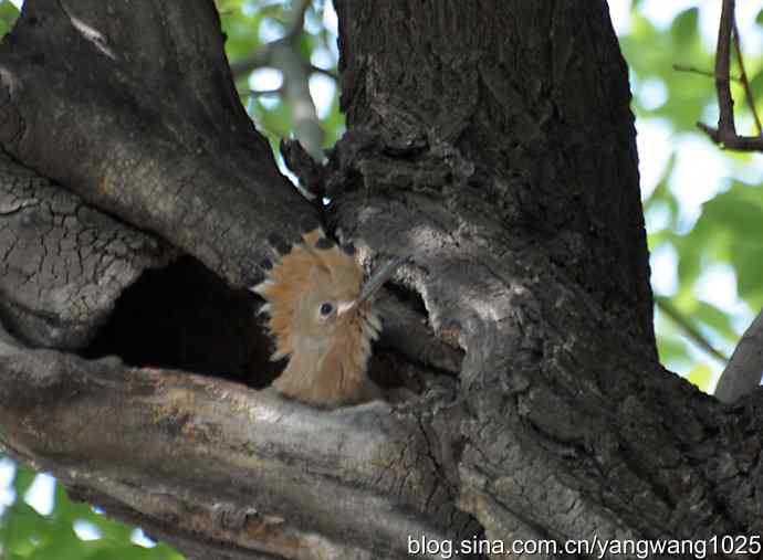 期盼（20分钟纪实片）