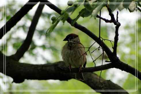 我的大生活之鈥溕隳衿濃2