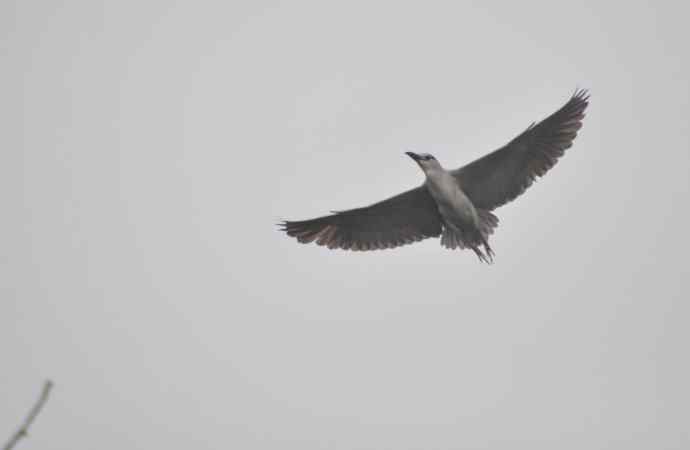 20100505当日总结