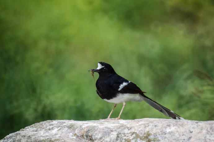 洋县朝圣鈥斺斢葡锌炖值陌锥钛辔拆