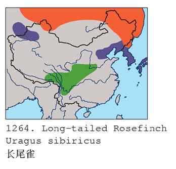 进步版鈥湷の踩糕潱ㄗ橥迹8张图片）