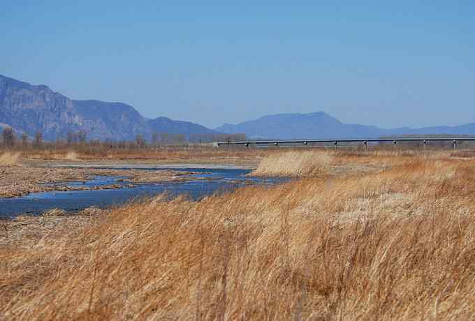 野鸭湖雁鸭翔飞 野鸭湖雁鸭翔飞
