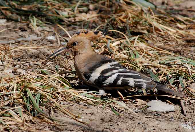 让偶一次拍个够