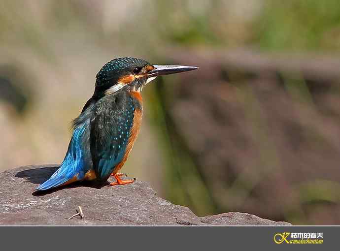 鈥溋宋泡衡澟拟溞〈溻潯臼蹬摹