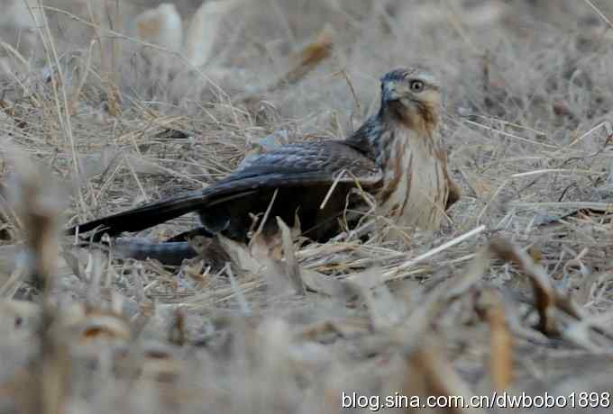 岁末再访白河峡谷 岁末再访白河峡谷