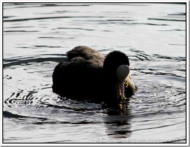 20111023-531_thumb1 20111023-531_thumb1