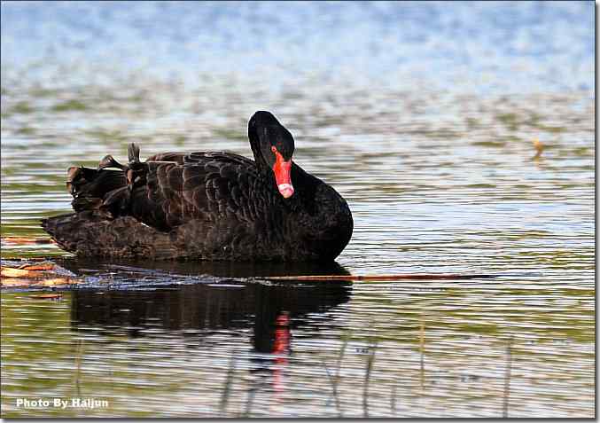  点击图片或使用键盘← →翻页