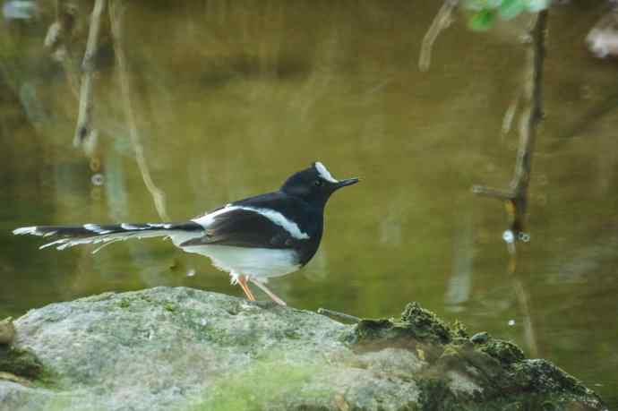 洋县朝圣鈥斺斢葡锌炖值陌锥钛辔拆