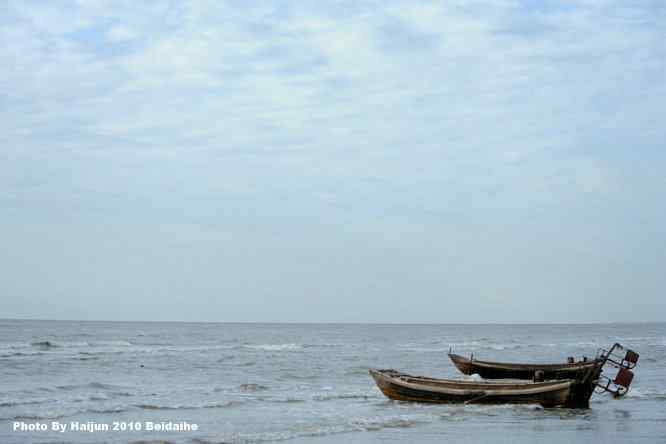 黄金海岸寻鹬 wbr赤土山桥赏鸟