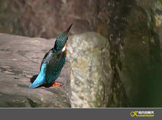 鈥溋宋泡衡澟拟溞〈溻潯臼蹬摹