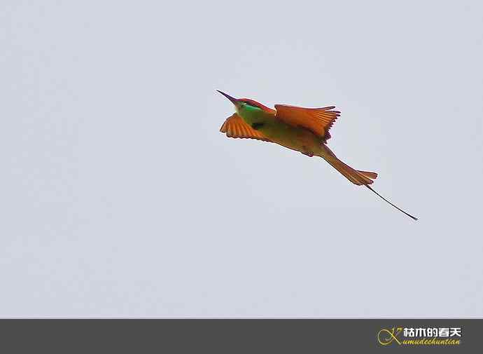 断线的鈥湻珞葩濃敿锹尖溌毯矸浠⑩