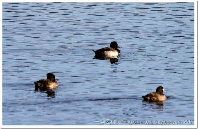 20111023 455 20111023 455