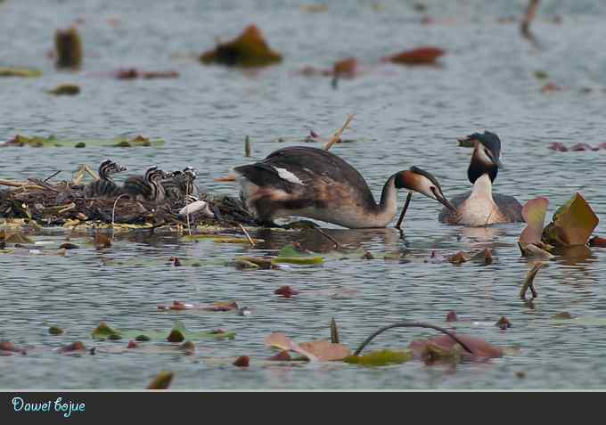 献给含辛茹苦的父母们