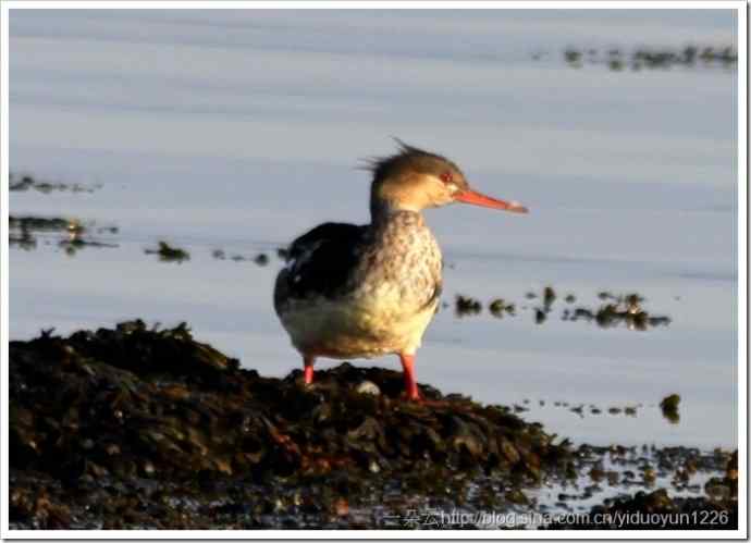 20111023-470_thumb17