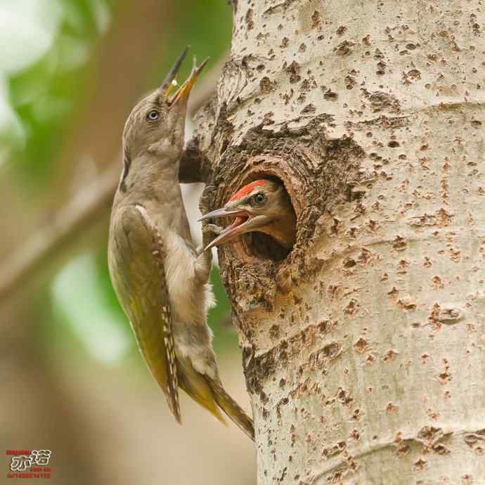 敬畏生命 敬畏生命