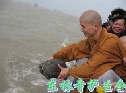 放生,为什么要如此小心翼翼 放生,为什么要如此小心翼翼