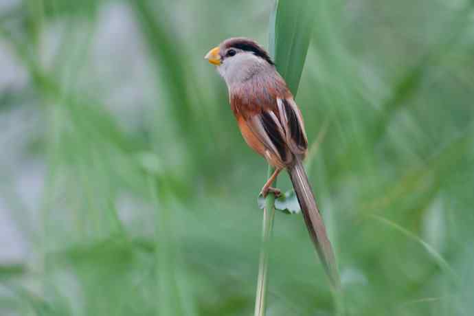 萌态可掬的鈥溦鸬┬∪糕☆★ 萌态可掬的鈥溦鸬┬∪糕☆★