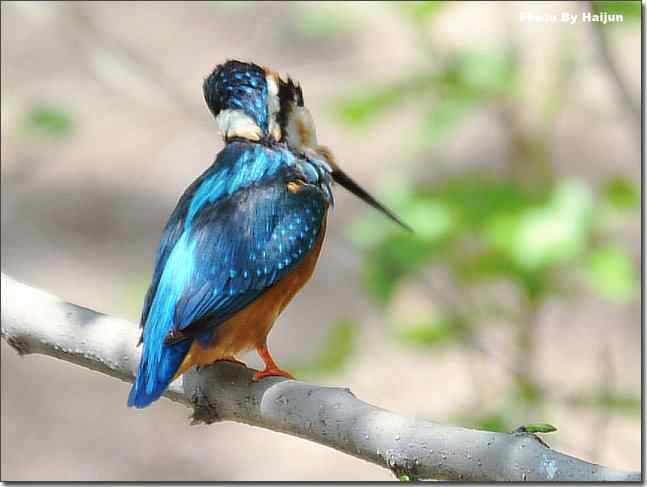  点击图片或使用键盘← →翻页