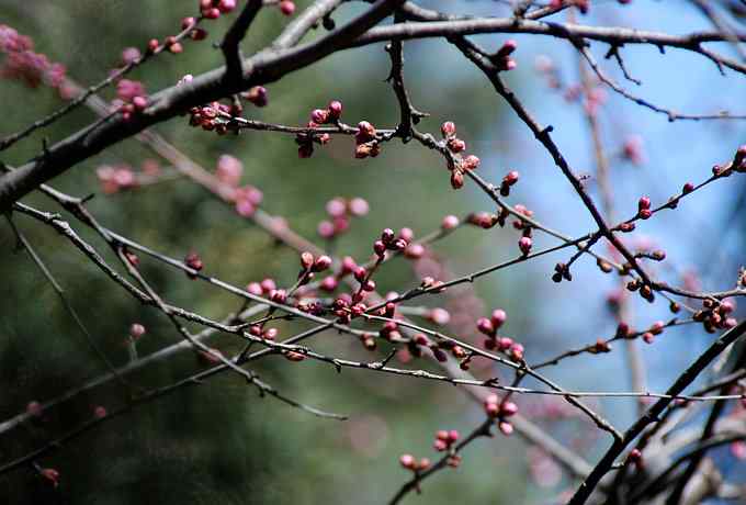 让偶一次拍个够