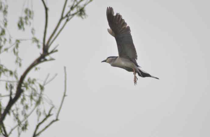 20100505当日总结